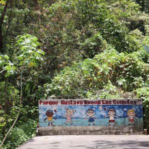 A finales de noviembre arranca primera etapa de rehabilitación del Parque “Los Coquitos” de Los Teques