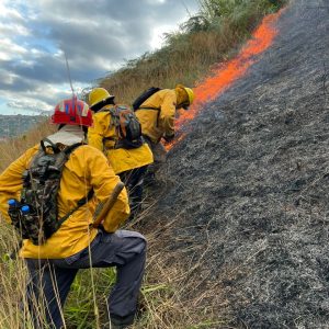 Funcionarios de Protección Civil de Guaicaipuro se mantienen desplegados para mitigar incendios forestales