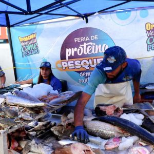 Un total de 42.3 toneladas de pescado fueron comercializadas durante Semana Santa en el municipio Guaicaipuro