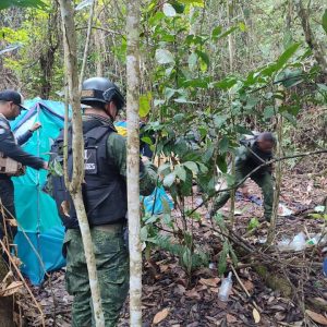 DIP Polimiranda y SIP Guaicaipuro dieron de baja a robacarro en Lagunetica