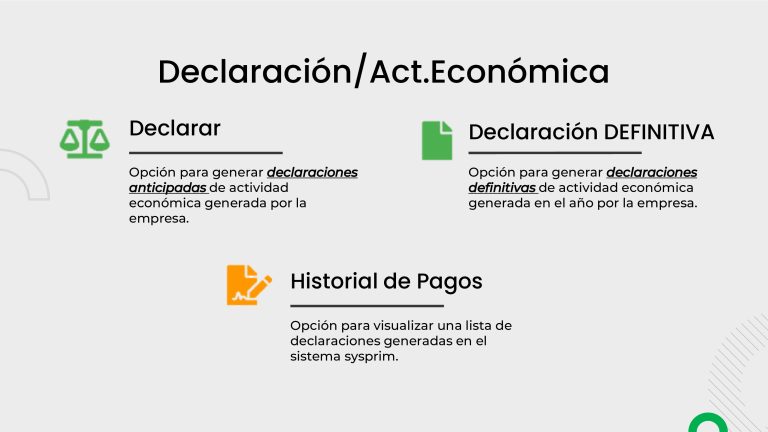 Declaracion de Act. Economica