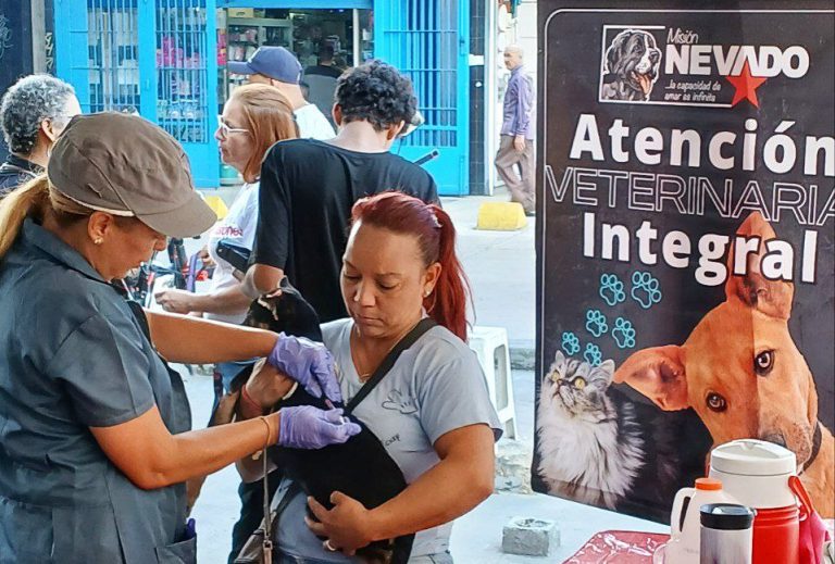 Celebran XI aniversario de creaciones del sistema de misiones y grandes misiones con jornada de atención para mas de 200 mascotas.