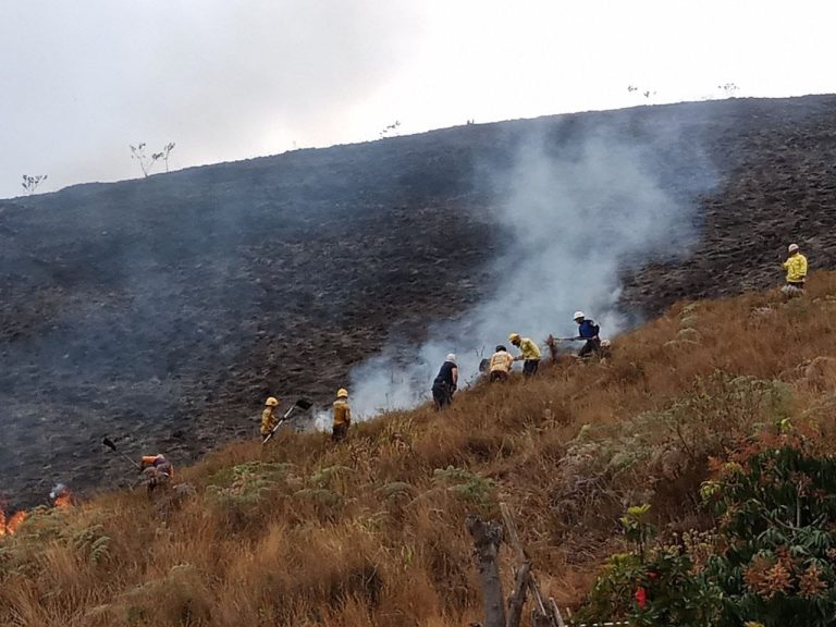 San Pedro y Los Teques concentran incendios forestales en Guaicaipuro
