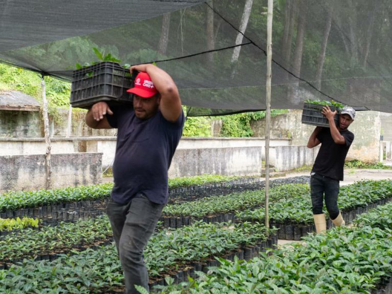 Tienda Agrícola beneficiará a más de mil productores en Altagracia de La Montaña