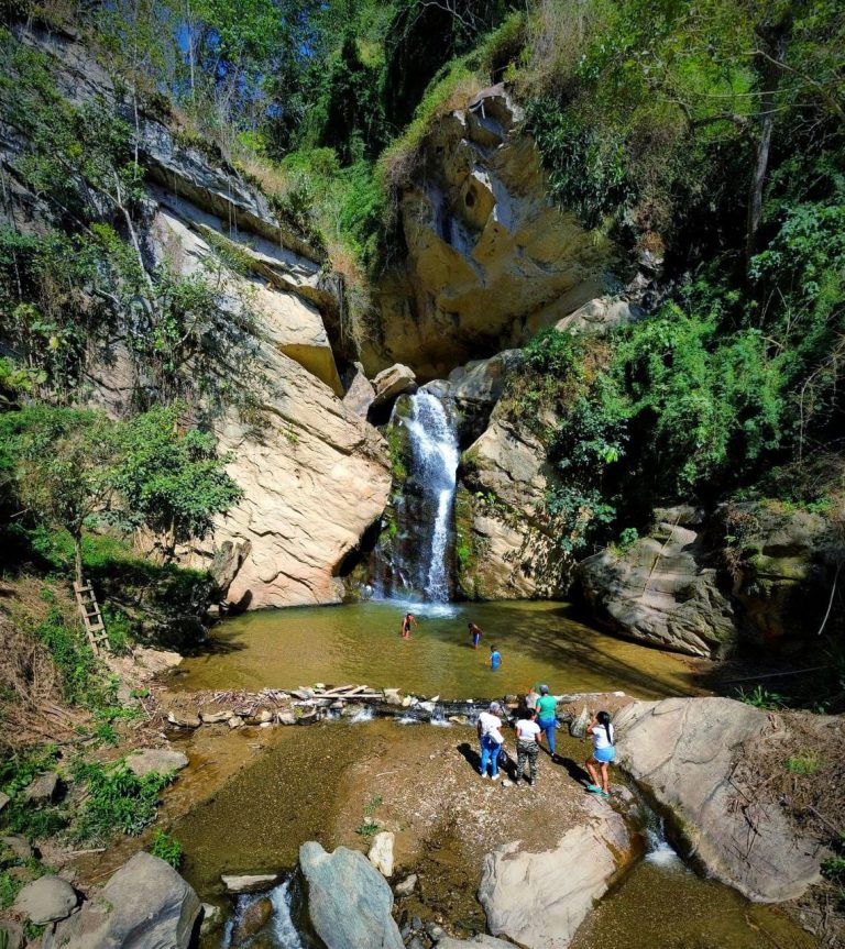Conecta con la naturaleza y descubre los senderos de San Pedro de Los Altos