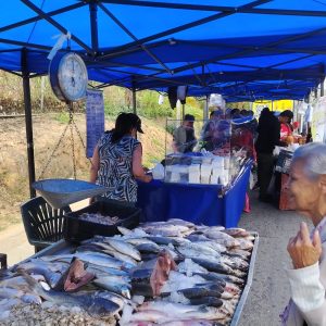 Familias guaicaipureñas  ahorran con mercados a cielo abierto