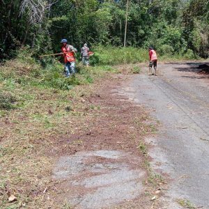 Serviguaicaipuro inicia despeje de ruta para los Palmeros de San Pedro