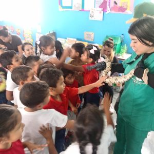 Pequeños guardianes de La Macarena aprenden el valor de proteger la vida silvestre
