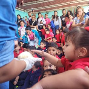 El preescolar Negra Hipólita se llena de vida y naturaleza silvestre 