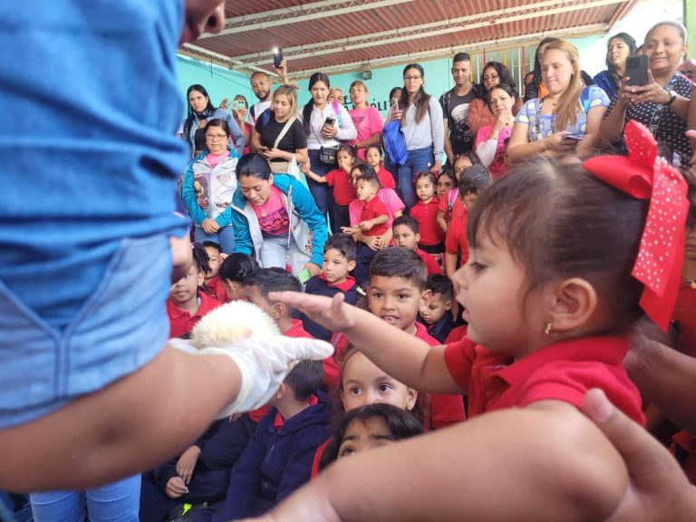 El preescolar Negra Hipólita se llena de vida y naturaleza silvestre 