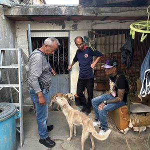 Rescatan a dos caninos en situación de maltrato en calle Ricaurte de Los Teques