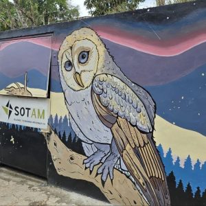 Guaicaipuro entierra décadas de basura en San Pedro con un cuarto de desechos inteligente