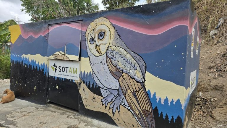 Guaicaipuro entierra décadas de basura en San Pedro con un cuarto de desechos inteligente