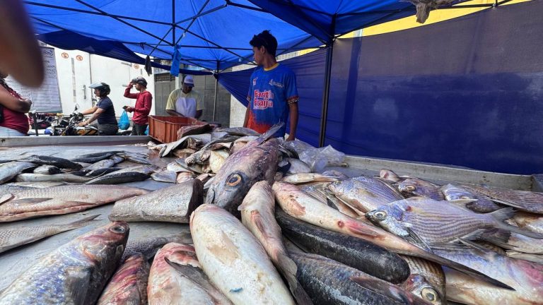 Precios asequibles predominan en la Feria Pesquera Corpoguaica