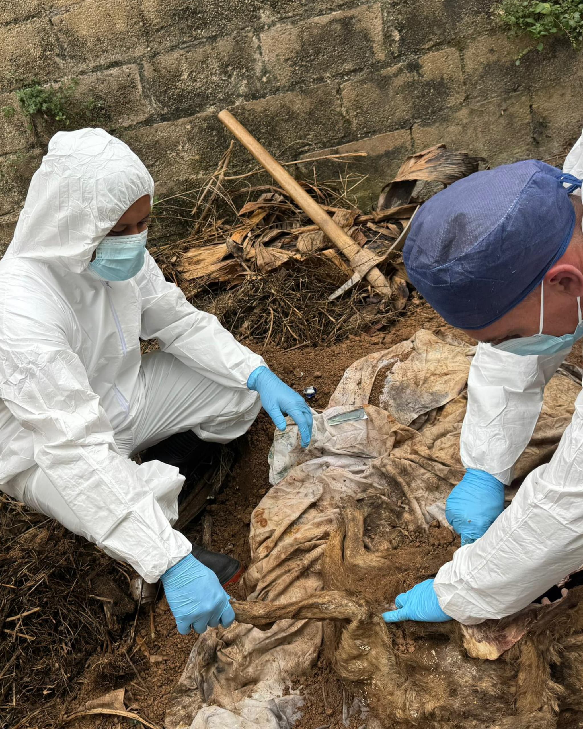 Poliguaicaipuro lidera procedimiento forense inédito en Miranda tras exhumación de canina maltratada