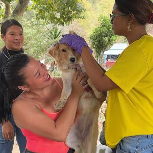 El latido animal de Guaicaipuro: Crónicas de una protección que no se detiene