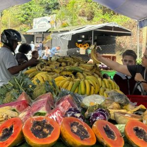 Seis mercados a cielo abierto se despliegan este sábado en Guaicaipuro