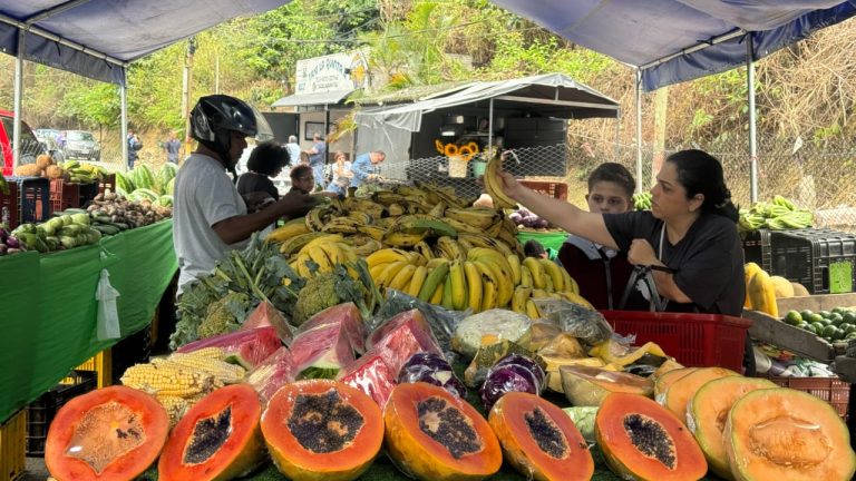 Seis mercados a cielo abierto se despliegan este sábado en Guaicaipuro