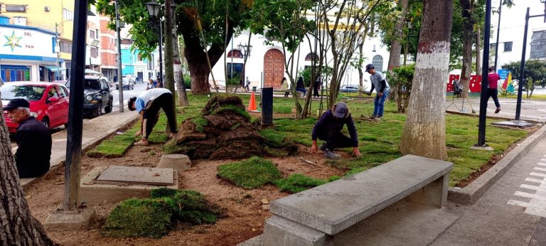 Avanza en 95% rehabilitación de la jardinería en la Plaza Bolívar