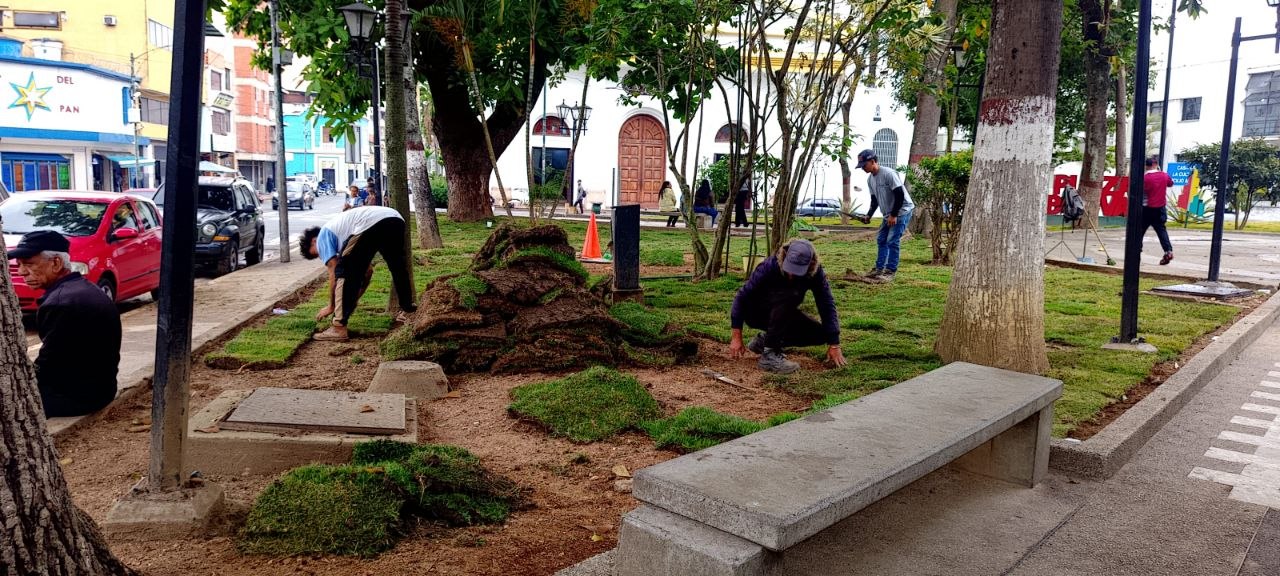 Avanza en 95% rehabilitación de la jardinería en la Plaza Bolívar