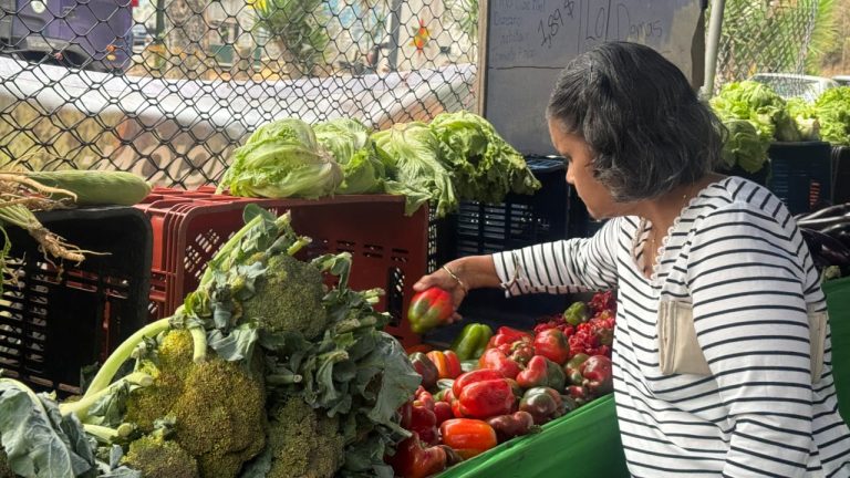 Más de cinco mil paracoteños compraron barato en los mercados a cielo abierto