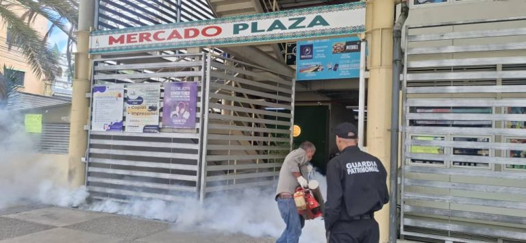 Plan de fumigación protege a más de 500 concesionarios del Mercado Plaza