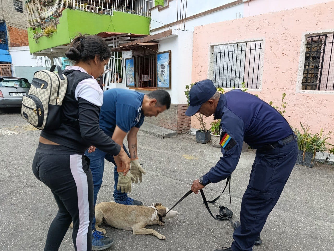 Poliguaicaipuro suma más de 100 actuaciones contra el Maltrato Animal