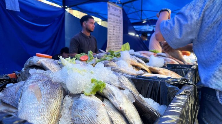 Más de 20 mil familias fueron atendidas con Mercados a Cielo Abierto este fin de semana