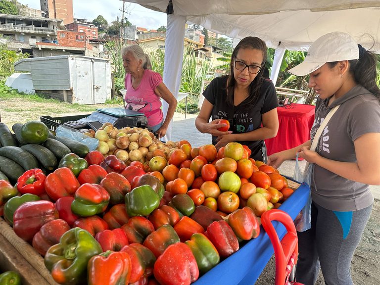 Mercado a Cielo Abierto garantiza hasta 40% de ahorro a trabajadores municipales